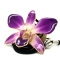 Сиреневая орхидея с золотом