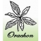 Оrachon